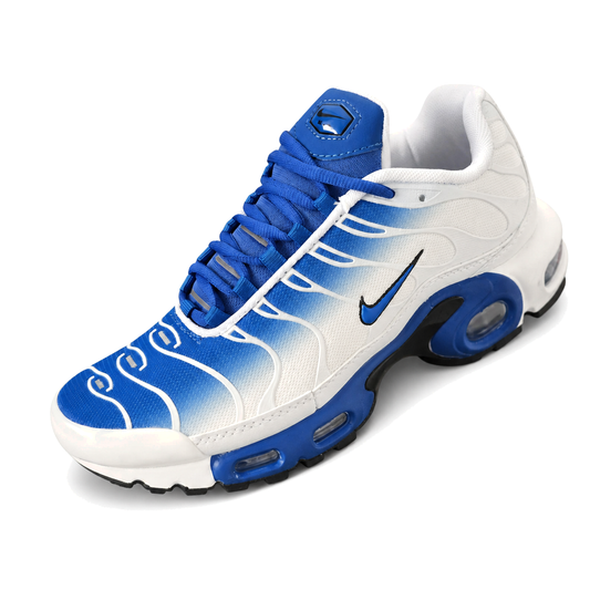 Nike Air Max Plus TN · Modelo 06