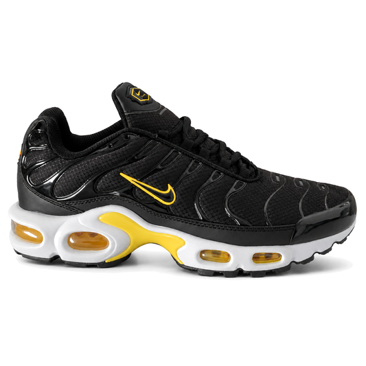 Nike Air Max Plus TN · Modelo 12