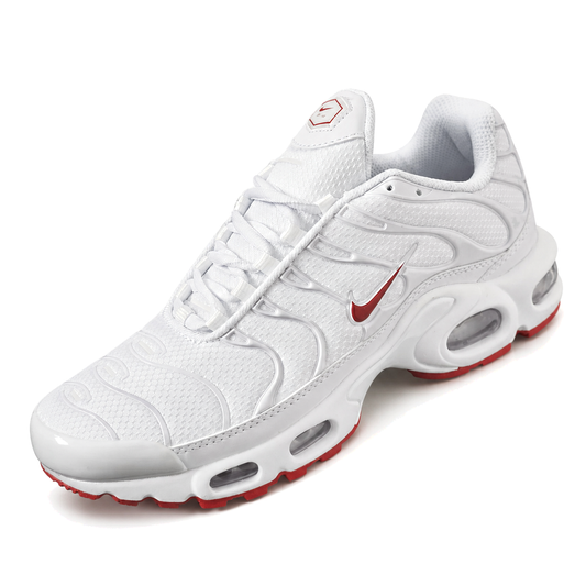 Nike Air Max Plus TN · Modelo 25