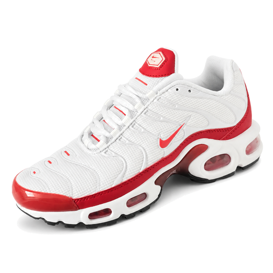 Nike Air Max Plus TN · Modelo 44