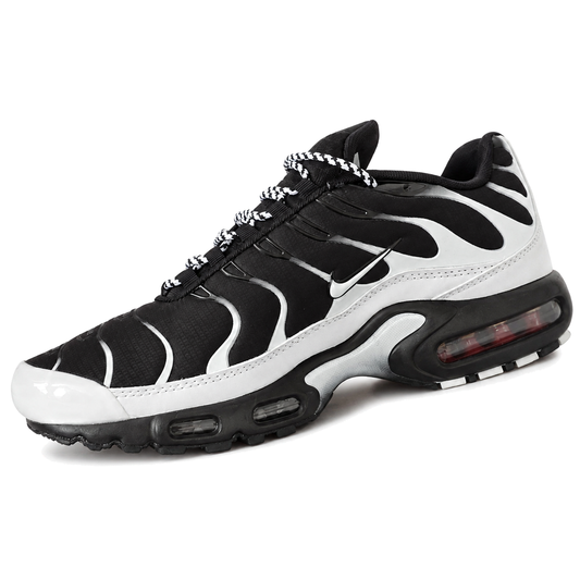 Nike Air Max Plus TN · Modelo 48