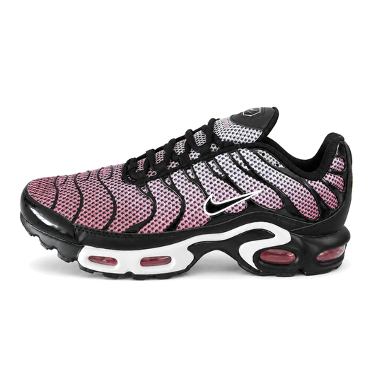 Nike Air Max Plus TN · Modelo 54