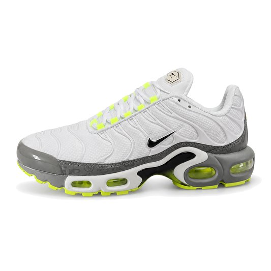 Nike Air Max Plus TN · Modelo 58
