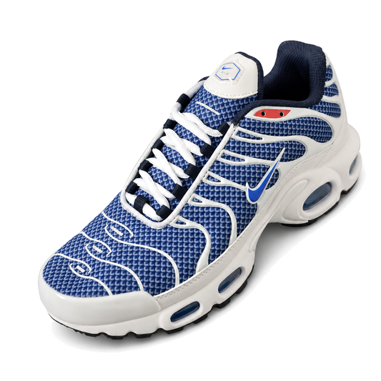Nike Air Max Plus TN · Modelo 59