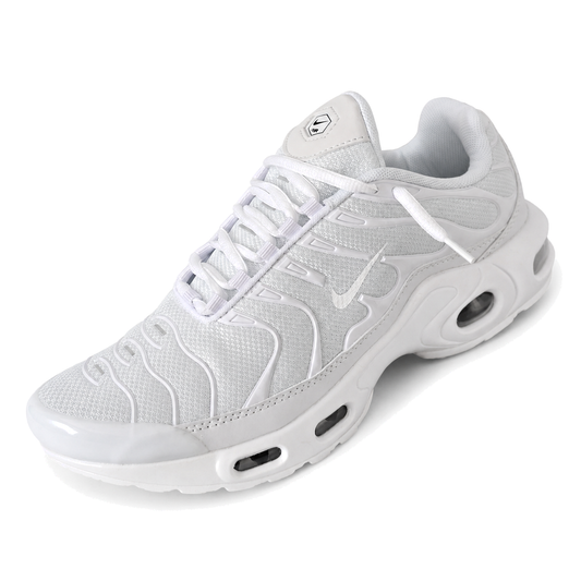 Nike Air Max Plus TN · Modelo 79